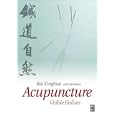Acupuncture: Visible Holism by  Bai Xinghua and R. B. Baron