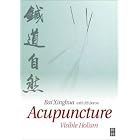 Acupuncture: Visible Holism by  Bai Xinghua and R. B. Baron