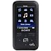 Used : Sony 2 GB Walkman Video MP3 Player with FM Tuner (Black)
