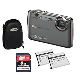Casio EXILIM EX-FS10 GY High Speed Digitalkamera inkl. 1x 8GB SDHC Klasse 6 Speicherkarte +  2x Akku + Hardschalentasche | Alle Preise inklusive MwSt.