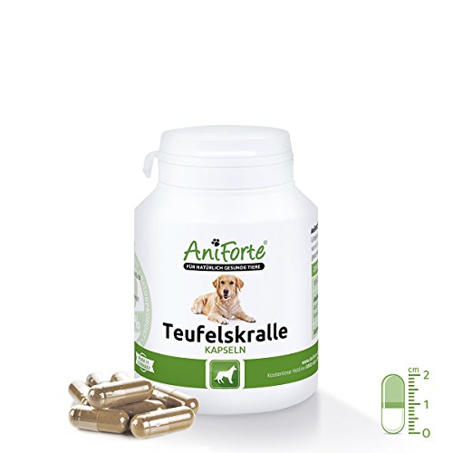AniForte Teufelskralle Kapseln 100 Stk. bei Arthrose Naturprodukt für