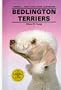 Bedlington Terriers