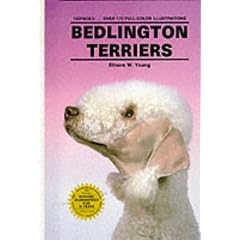 Bedlington Terriers