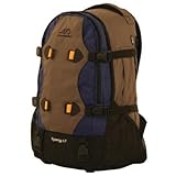 ALPS Mountaineering Synergy LT Day Pack