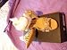 Gold Sandals Size 4 ladies ballroom latin dance shoes gold size 4.5 angela