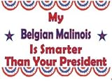 My Belgian Malinois Is Smarter Than Your President Youth Hooded Sweatshirt (various color choices)