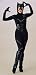 Catwoman Costume, Adult