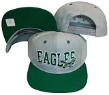 Philadelphia Eagles Wave Grey/Green Plastic Snapback Adjustable Plastic Snap Back Hat / Cap