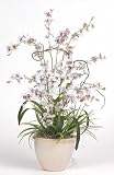 Dancing Lady Silk Orchid Plant - White - B001DQH65C