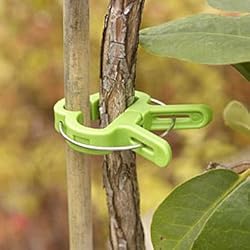 Flower and Vine Clips - Package of 15
