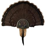 Walnut Hollow Country Turkey Fan Mount & Display Kit, Oak with Drumsticks Image
