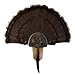 Walnut Hollow Country Turkey Fan Mount & Display Kit, Oak with Drumsticks Image