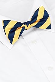 Sartorial Pure Silk Textured Striped Bow Tie