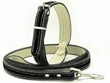 Collar and Leash - Black Matching Collar & Leash