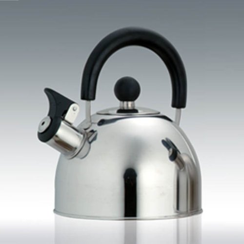 Stainless Steel Tea Kettle
