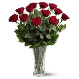 1 Dozen Long Stem Red Roses