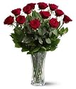 1 Dozen Long Stem Red Roses