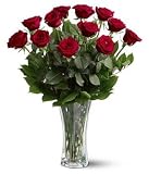 1 Dozen Long Stem Red Roses