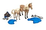 Pony Club Arabian Mare and Foal