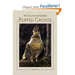Ruffed Grouse: Woodland Drummer
