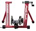 Minoura Mag-500L-D Trainer " Red138169