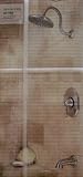  : Hanover Tub and Shower Satin Nickel