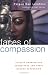 Faces of Compassion: Classic Bodhisattva Archetypes and Their Modern Expression