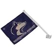 Washington Huskies Car Flag
