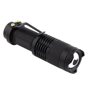 BBQbuy@7w 300lm Mini Cree Led Flashlight Torch Adjustable Focus Zoom Light Lamp by FordEx Group