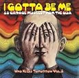 I Gotta Be Me: 20 Garage Missiles from the USA