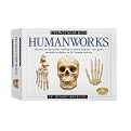 Eyewitness Humanworks Model Kit