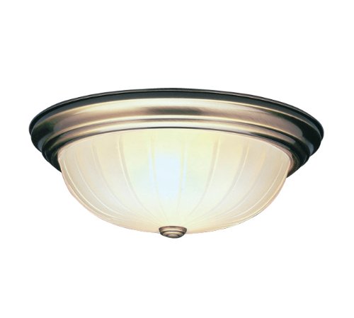 Livex Lighting 7113-01 Antique Brass Home Basics 2 Light 120W Flushmount Ceiling Light with Medium B