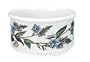 Portmeirion Botanic Garden 5-Ounce Ramekins, Set of 6