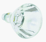 GE Lighting 37770 250R40/1 Heat lamp Bulb