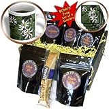WhiteOak Photography Floral Prints - North Carolina Wild Flowers Small White Wildflowers - Coffee Gift Baskets - Coffee Gift Basket