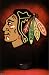 Chicago Blackhawks (Logo, Puck) Sports Poster Print - 22