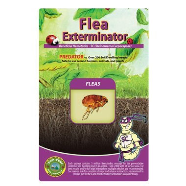 25 Million Live Beneficial Nematodes Sc - Flea and Fly Exterminator
