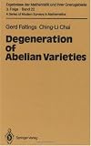 Degeneration of Abelian Varieties (Ergebnisse der Mathematik und ihrer Grenzgebiete. 3. Folge   A Series of Modern Surveys in Mathematics)
