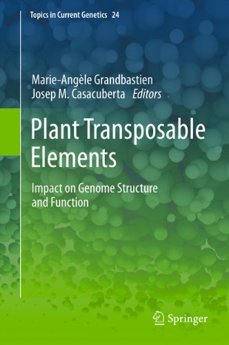 Plant Transposable Elements: Impact on Genome Structure and Function: 24 (Topics in Current Genetics)