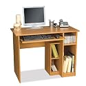 Computer Work Station