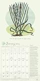 Llewellyn's 2012 Witches' Calendar (Annuals - Witches' Calendar)