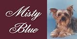 AIRBRUSHED LICENSE PLATES -YORKIE LICENSE PLATE - #116(YOUR DOG)