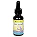 Willow/Garlic Oil 1 Ounces