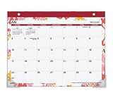 Day Runner Floral Explosion Mini Monthly Desk Pad, 11-Inch x 8 1/2-Inch , Design, 2011/2012 (SK04-706A)