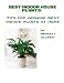 Best Indoor House Plants: Tips for Growing Best Indoor Plants at Home Best Indoor House Plants: Tips for Growing Best Indoor Plants at Home