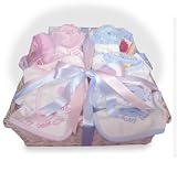 Large Twins Baby Gift Basket 3-5lb Pink/Sky