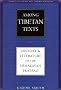 Among Tibetan Texts: History and Literature of the Himalayan Plateau