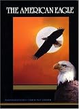 The American Eagle