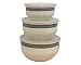 Pfaltzgraff Juniper 6-Piece Enamel on Steel Bowl Set, Large