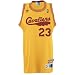 LeBron James Youth Gold Vintage 1970-1974 Swingman Jersey (XL(18-20))